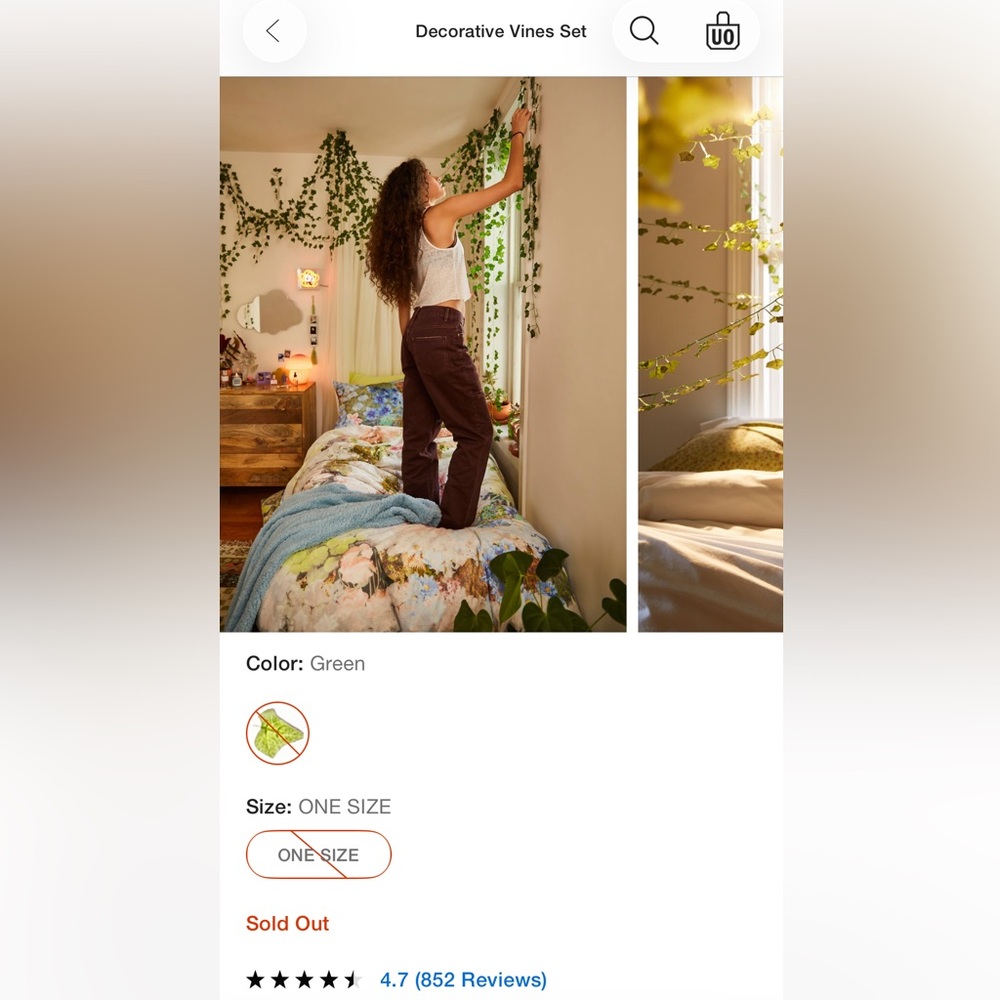 Urban Outfitters Decorative Faux Vine